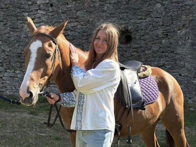 У Дубенському замку оселилися кінь та поні, яких евакуювали з прифронтових регіонів