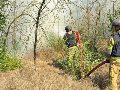 Понад 9 гектарів сухостою згоріло на Херсонщині за добу