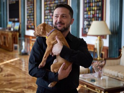 Цуценя з моторошною історією: що Кроуфорд привіз Зеленському з США