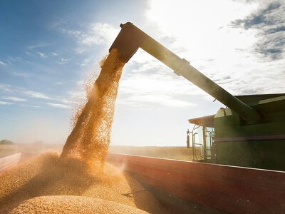Україна отримає 10,5 млн доларів для зберігання врожаю прифронтових аграріїв