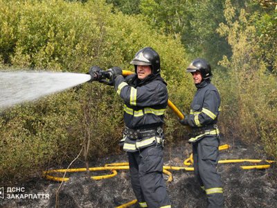 Поблизу Чопа рятувальники загасили масштабну пожежу сухої трави