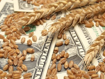 Нацбанк продовжив строки розрахунків за експортом агропродукції до 150 днів