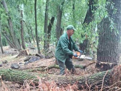 У Черкасах комунальники прибирають повалені дерева та сміття після негоди