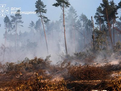 На Рівненщині горять лісова підстилка та торф (ФОТО+ВІДЕО)
