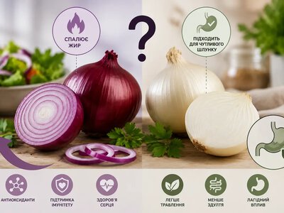 Червона чи біла цибуля? Яка краще спалює жир і підходить для чутливого шлунку