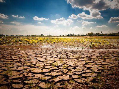 Україна потерпає від посухи: серпень без дощів