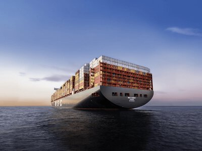 Найбільший у світі контейнерний перевізник MSC зупинив рейси до Новоросійська