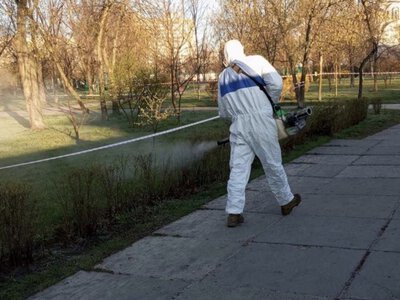 Київські парки обробляють від кліщів: де у Солом’янському районі проводять роботи