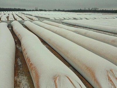 Міжнародні партнери виділять $10,5 млн на зберігання врожаю українських аграріїв