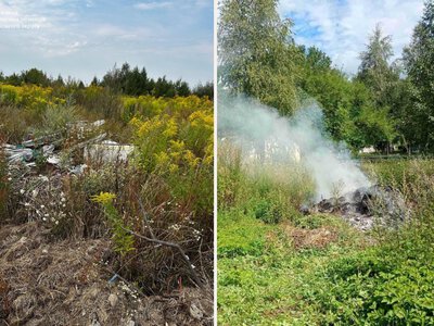 На Сарненщині за тиждень виявили стихійні звалища та інші порушення