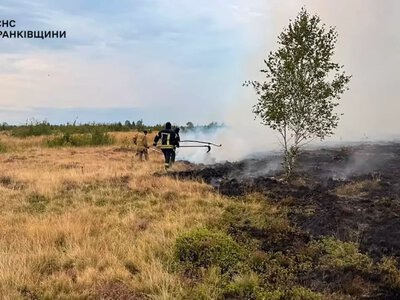 У Рожнятівській громаді майже 6 годин гасили пожежу у полі
