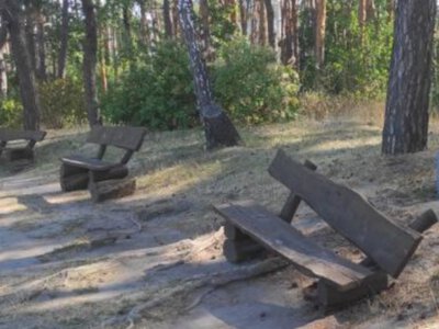 У Сосновому бору вандали пошкодили паркову лавку