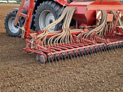 Імпорт української сої до ЄС обвалився на 71% з початку сезону