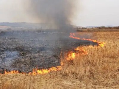 На Рівненщині вогонь охопив три райони за добу (ВІДЕО)