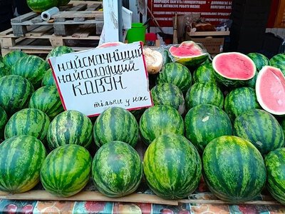Цена на арбузы сегодня на Харьковщине в Изюме — Снизилась