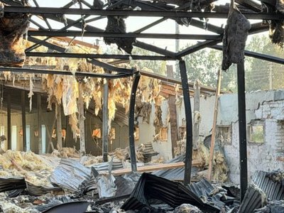 У Чернігівській області російська армія вдарила по пташнику: загинули понад 20 тисяч голів птиці