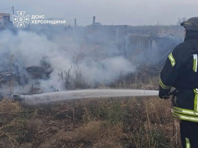 Пожежі в екосистемах Херсонщини: за добу знищено понад 3,5 гектара сухостою