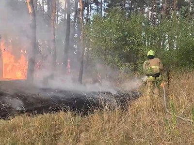 На Рівненщині за добу рятувальники ліквідували 7 пожеж у природних екосистемах