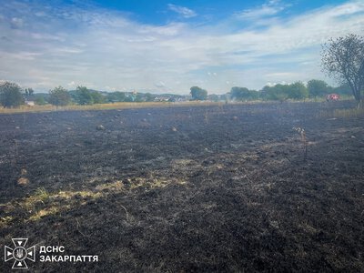 З початку року на Закарпатті пожежі знищили 988 га сухої трави