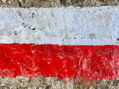 Міф про безпорадних біженців: ЗМІ назвали причину образ поляків на українців (Відео)