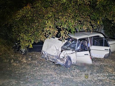 Смертельна ДТП: у Запорізькому районі розбився водій легковика