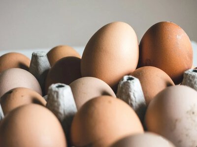 Яйця в Україні можуть різко здорожчати у вересні: названо причини та актуальні ціни в супермаркетах