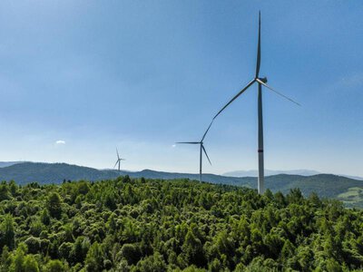 Інтеграція до місцевої екосистеми: приклад Нижньоворітської ВЕС