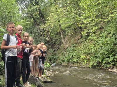 У річки басейну Тиси випустили майже 70 тисяч мальків форелі
