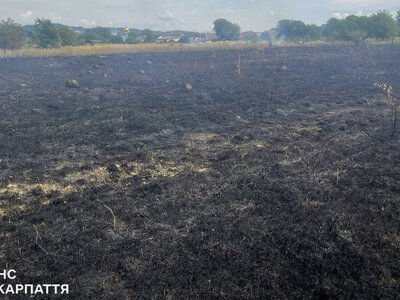 Майже тисяча гектарів вигоріла на Закарпатті від початку року (ФОТО)