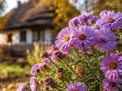Погода на Хмельниччині: мінлива хмарність та висока пожежна небезпека