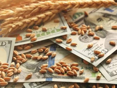 Ціни на пшеницю зросли до трирічного максимуму через небезпеку в Чорному морі