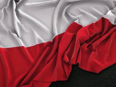Вроцлав став на захист українців: міськрада ухвалила важливу резолюцію 