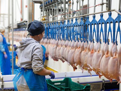  МХП купує переробні активи «Агролю» у Львівській області за $5 млн 