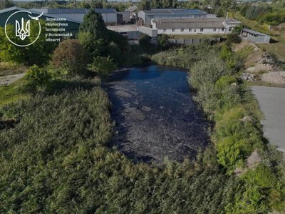 У волинському місті натрапили на брудну водойму