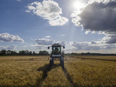 Від молока - до власної продукції: як фермерам заробляти більше завдяки грантам та переробці