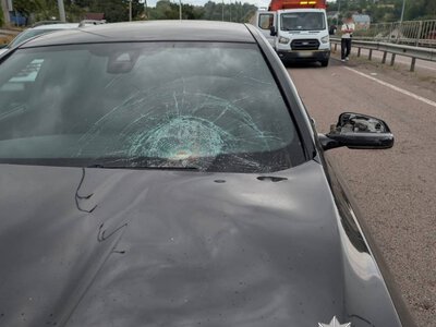 На трасі Київ – Чоп водій BMW збив працівника дорожньої служби