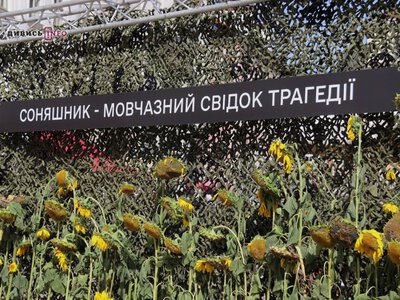 У Львові проведуть благодійну акцію «Соняшник пам’яті»