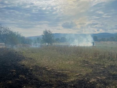 «Надзвичайники» приголомшили масштабами пожеж в екосистемах області — PMG.ua