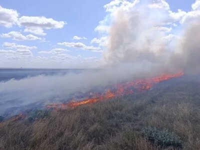 В “Асканії-Нова” вигоріло понад 6,3 тисячі гектарів заповідника - Херсон Daily