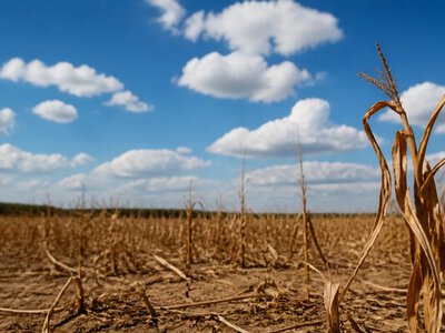 Ель-Ніньйо може посилювати кліматичні екстремуми в Європі