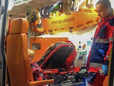 У горах на Рахівщині собака покусав 10-річну дівчинку (ФОТО)