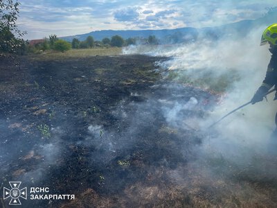 Закарпаття у вогні: згоріло майже 1000 гектарів землі