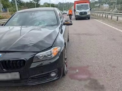 Біля Рівного водій BMW збив робітника, який фарбував розмітку на трасі 