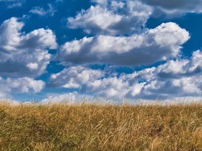 Останні вихідні літа принесуть в Україну тепло, але із західних областей зайдуть дощі 