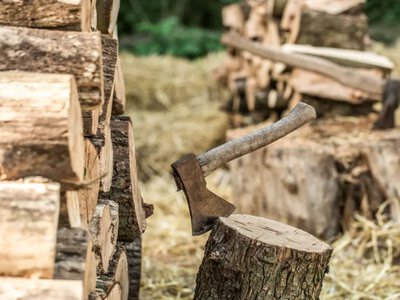 Дрова в Україні: ціни досягли рекордних показників