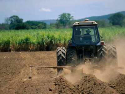 На Миколаївщині агропідприємства збільшили виробництво на 27 відсотків