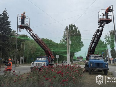 Сітка «впіймала» дрон і відкинула його у кущі: у Запоріжжі на дорогах встановлюють потрійний антидроновий захист