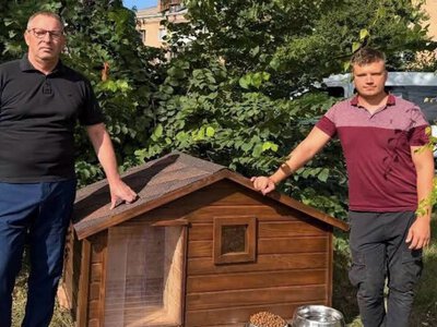 Повернули собачі будки на вулиці Ніжина: про що домовились влада та зооволонтери