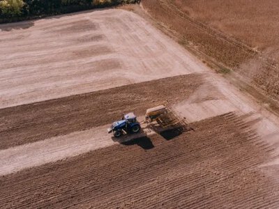 Україна може зменшити посівні площі на 20%