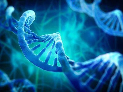 Вчені знайшли спільний механізм різних генів аутизму: це може допомогти у створенні ліків